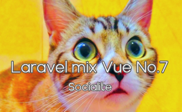 Laravel mix vue No.7 - Socialite - ソーシャルログイン